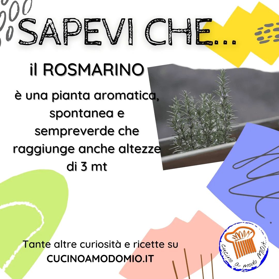 ๐ถ Sapevi Cheโฆ ROSMARINO ๐ท
รจ una pianta aromatica, spontanea e sempreverde che raggiunge anche altezze di 3 mt
Scopri tante curiositร e ricette sul sitoย
๐ WWW.CUCINOAMODOMIO.IT
ใฐ๏ธ ใฐ๏ธ ใฐ๏ธ ใฐ๏ธ ใฐ๏ธ ใฐ๏ธ ใฐ๏ธ ใฐ๏ธ ใฐ๏ธ ใฐ๏ธ ใฐ๏ธ ใฐ๏ธย
โค๏ธ ๐ ๐ฒ๐๐๐ถ ๐ ๐ถ ๐ฃ๐ถ๐ฎ๐ฐ๐ฒ ๐
๐ ๐ฆ๐ฒ๐ด๐๐ถ @Cucinoamodomio.it
๐ซ ๐ง๐ฎ๐ด๐ด๐ฎ ๐ฎ๐บ๐ถ๐ฐ๐ถ ๐ฒ ๐ฐ๐ผ๐ป๐ฑ๐ถ๐๐ถ๐ฑ๐ถ ๐ถ๐น ๐ฃ๐ผ๐๐
๐ ๐ฆ๐ฎ๐น๐๐ฎ ๐ถ๐น ๐ฃ๐ผ๐๐ย
โ ๐๐ผ ๐๐ฎ๐ฝ๐ฒ๐๐ถ ๐ผ ๐๐๐ผ๐ถ ๐ฑ๐ถ๐ฟ๐ฒ ๐น๐ฎ ๐๐๐ฎ? ๐๐ผ๐บ๐บ๐ฒ๐ป๐๐ฎ!!!
ใฐ๏ธ ใฐ๏ธ ใฐ๏ธ ใฐ๏ธ ใฐ๏ธ ใฐ๏ธ ใฐ๏ธ ใฐ๏ธ ใฐ๏ธ ใฐ๏ธ ใฐ๏ธ ใฐ๏ธย
#cucinoamodomio #cucinoamodomioit #photooftheday #foodoftheday #instagood #delicious #eat #food #cibo #ciboitaliano #foodporn #foodlover #instafood #foodblogger #losapeviche #curiositร cucina #cosechenonsai #curiositร #mangiarebene #cibosano #sapeviche