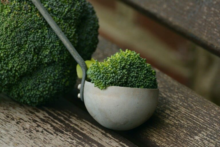 Read more about the article Broccoli