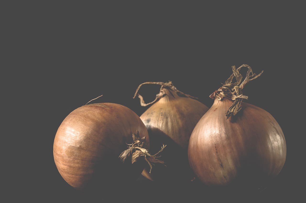 Cipolla, Ingredienti, alimenti, lista ingredienti, cosa è, come si cuoce, ricette, come si cucina, informazioni nutrizionali, calorie, proteine, grassi, carboidrati,