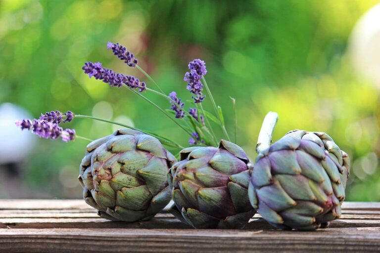 Scopri di più sull'articolo Carciofi