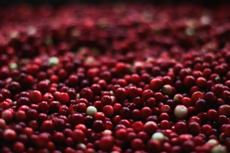 Read more about the article Cranberries