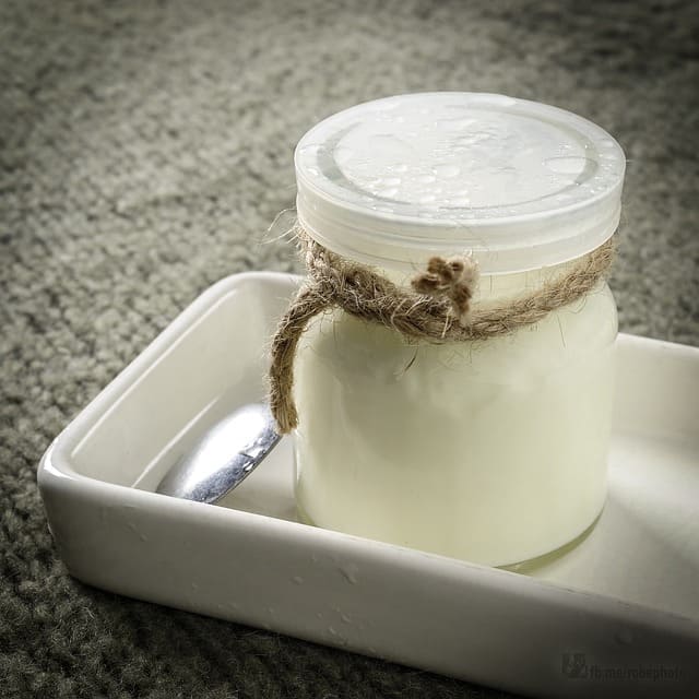 Scopri di più sull'articolo Yogurt