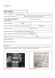 cucino a modo mio, ricette cucina, richiami alimentari, guide cucina, ricette di natale, ricette feste, ricette pasqua, lista alimenti, ingredienti, consulenze di cucina, corsi di cucina