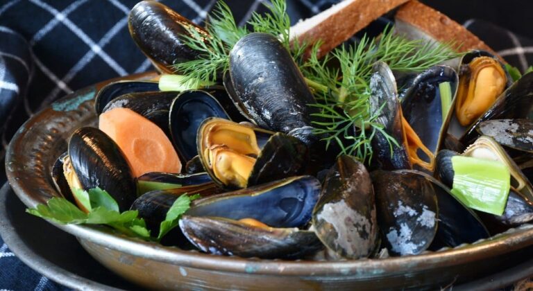 Read more about the article Cozze