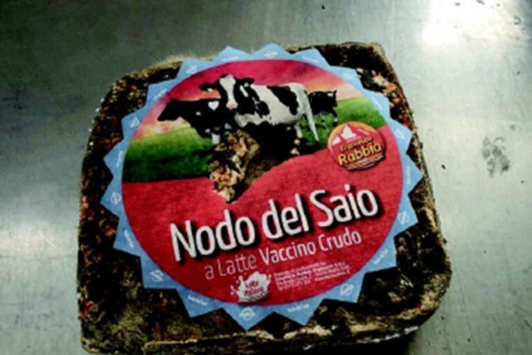Read more about the article Allerta Alimentare | Escherichia Coli Stec nel Nodo del Saio
