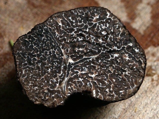 Scopri di più sull'articolo Tartufo