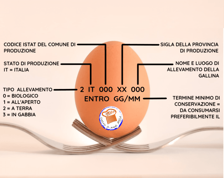 Scopri di più sull'articolo Come Leggere la Carta d’Identità dell’Uovo